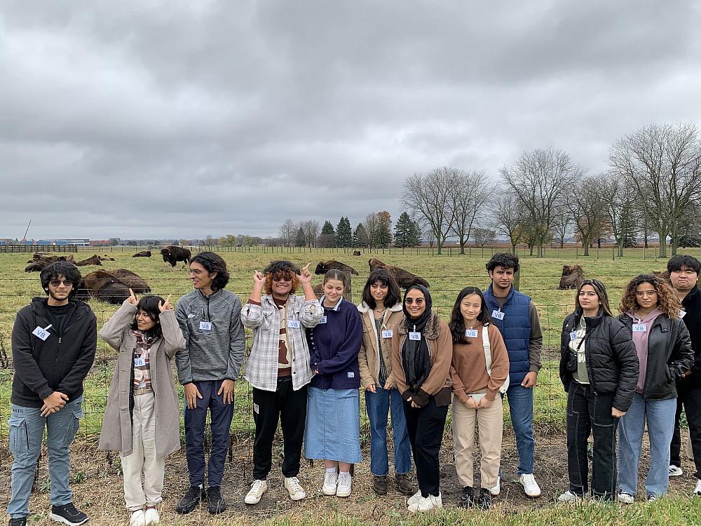 A group of students stand in front of pasture in which a herd of bison are resting.